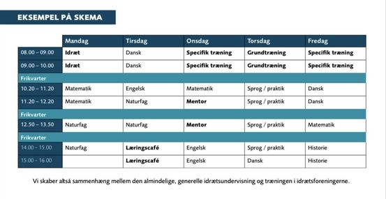 Eksempel på skema